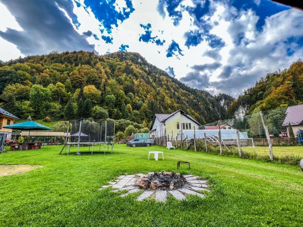 Casa Petruta Dambovicioara Hotel Podu Dimbovitei ภายนอก รูปภาพ