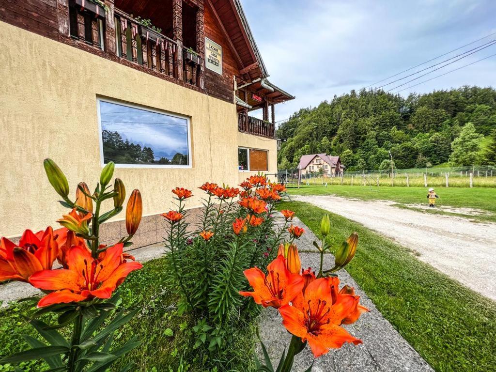 Casa Petruta Dambovicioara Hotel Podu Dimbovitei ภายนอก รูปภาพ